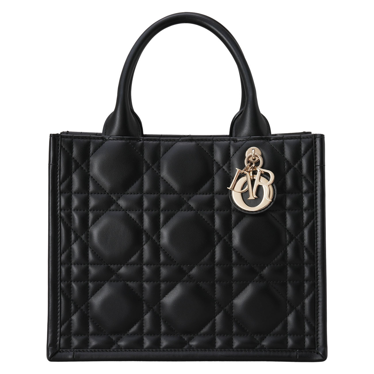 CHRISTIAN DIOR(USED)디올 레더 북토트 스몰